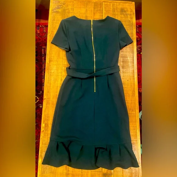 Calvin Klein Ruffle Front Dress - Picture 3 of 3